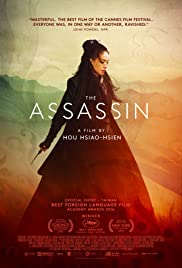 The Assassin 2015 Dub in Hindi Full Movie